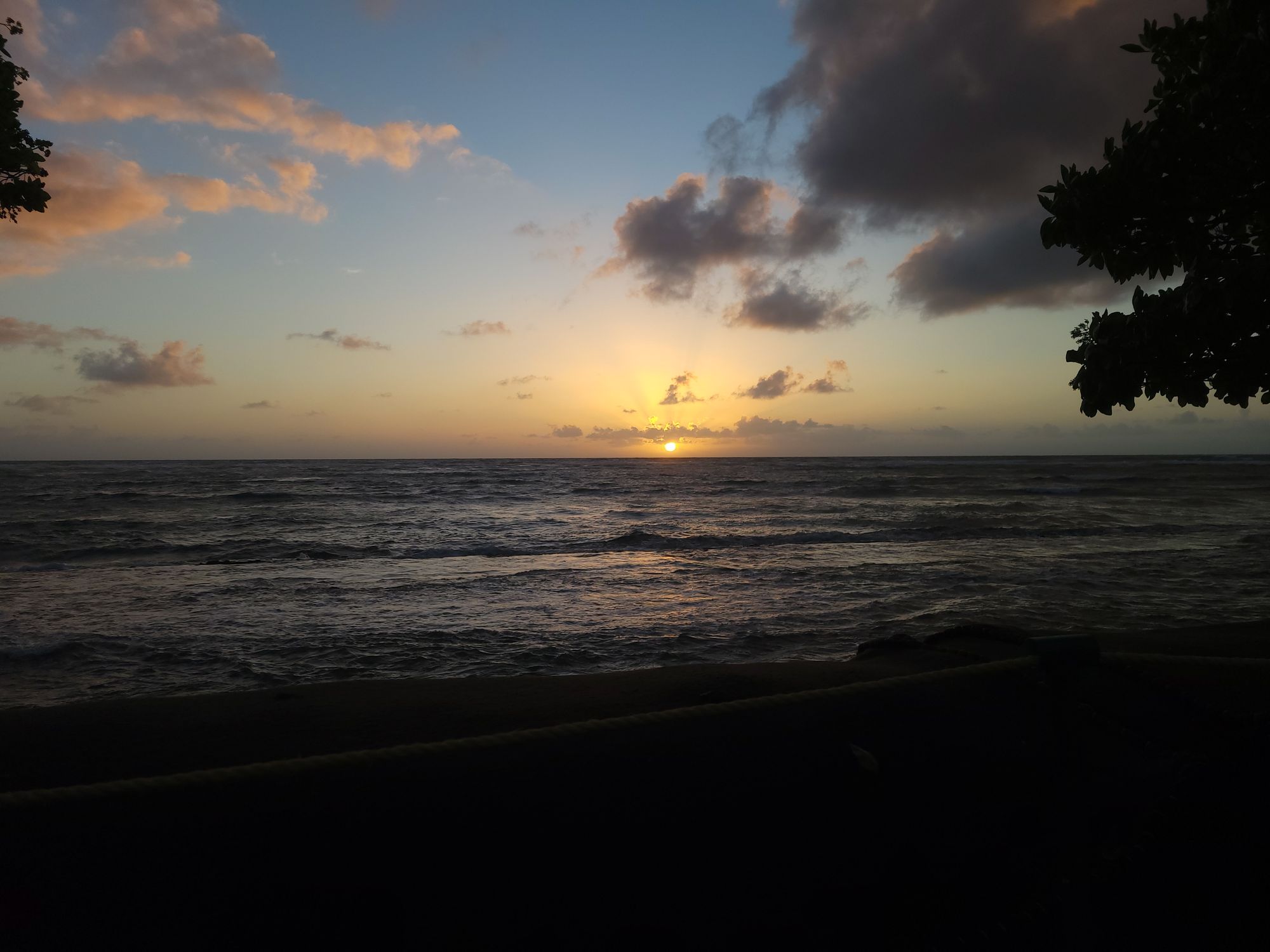 20230208_071656.jpg
